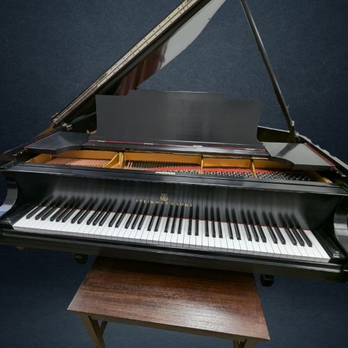 1925 Steinway &amp; Sons Model M Grand Piano
