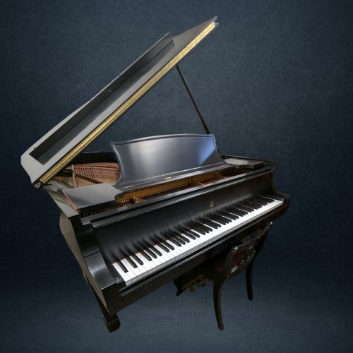 Steinway B 