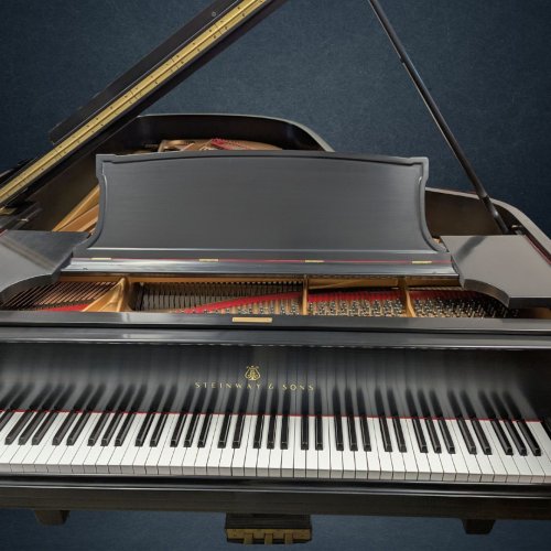 Steinway B 