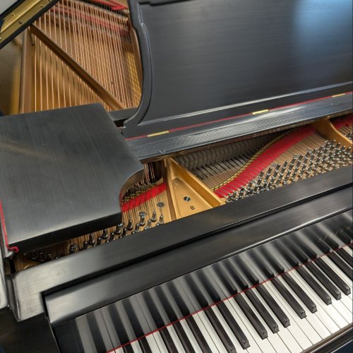 Steinway B 