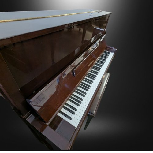 Walnut Yamaha 