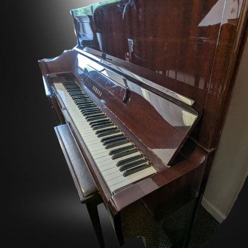 Walnut Yamaha 