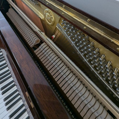 Walnut Yamaha 