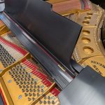 1925 Steinway &amp; Sons Model M Grand Piano