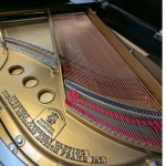 1925 Steinway &amp; Sons Model M Grand Piano
