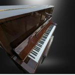 Walnut Yamaha 