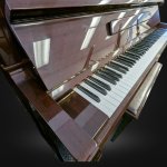 Walnut Yamaha 