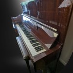 Walnut Yamaha 