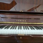Walnut Yamaha 